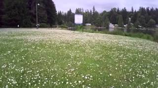 Look at the Flowers (Flowing Lake, Snohomish)