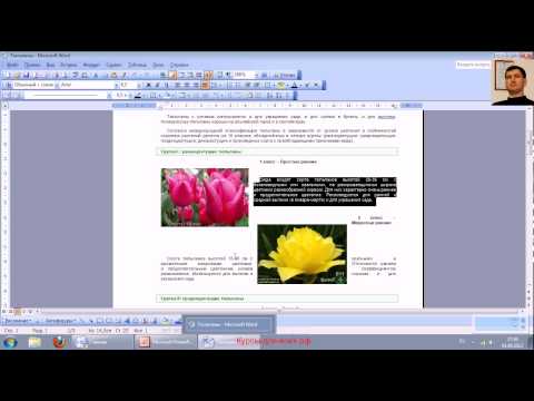 Работа в повер поинт 2003 презентация видео уроки
