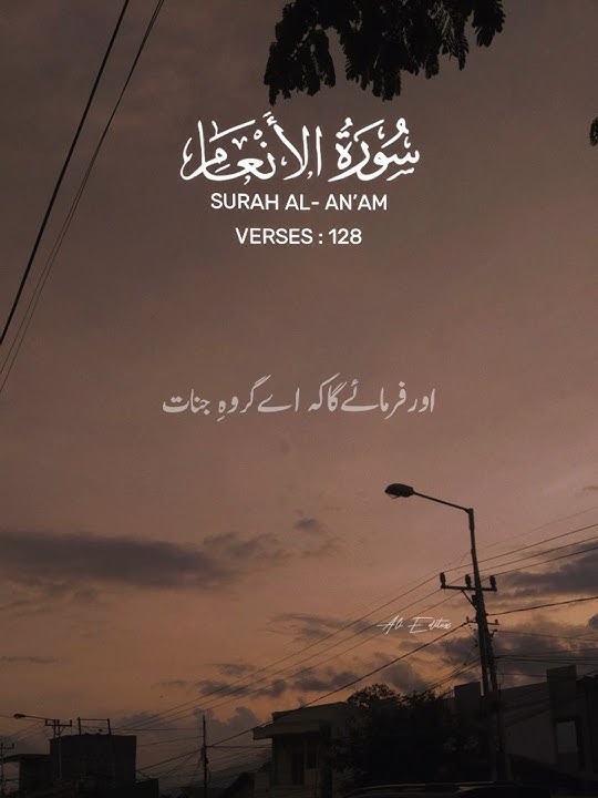Surah Al-An’am🫀 Verses 128 #quranrecitation #quranicvibes #deenvibes #ytshorts