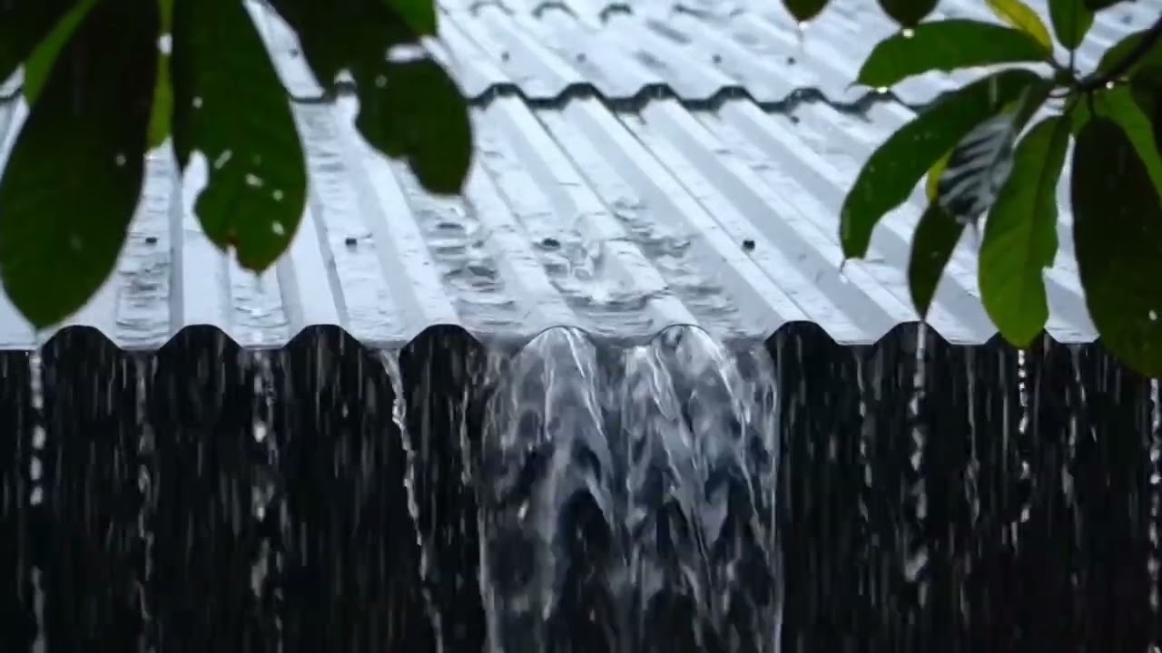 Dark Screen Rain on Roof | Sleep Sounds to Help You Fall Asleep Fast