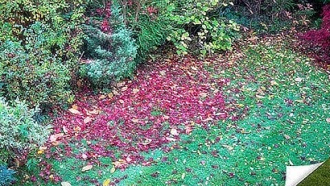 Page Curl in Affinity Photo