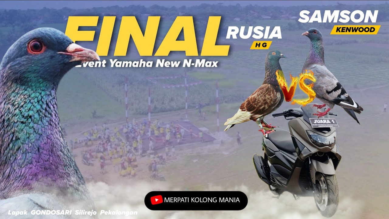 FINAL KEREN‼️SAMSON Team Kenwood VS RUSIA Team HG || Event NEW N-MAX Lapak GONDOSARI Silirejo 2025