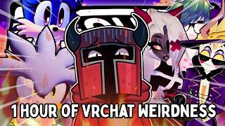 1 Hour of the Weirdest People I've Met in VRChat | VRChat Encounters - 10k Sub Milestone