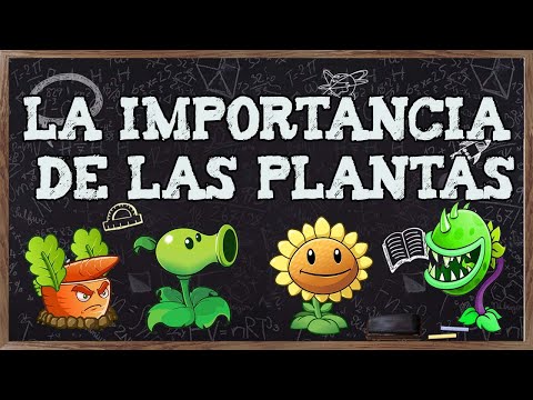 LA IMPORTANCIA DE LAS PLANTAS