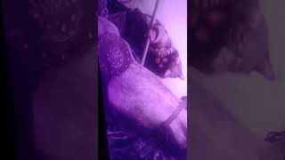 the hu wolf totem ÷mongol empire hd (Mongolian throat