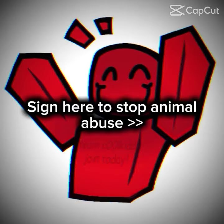 STOPπ‘π‘π‘π‘π‘π‘π‘π‘π‘π‘π‘ - YouTube