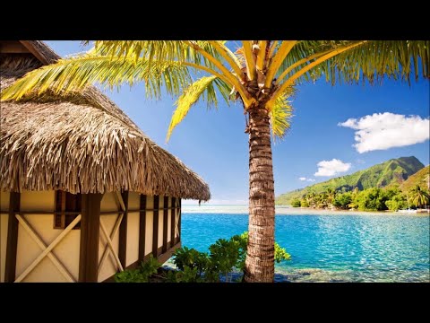 White Sand Beach And Palm Trees/Free To Use Video/Backgrounds/Animations/Stock / Motion Graphics/