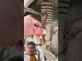 #automobile #tools #funny #shortvideos #comedyvideos #experiment #woodscraft #comedyshorts