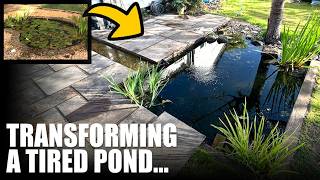 I TRANSFORMED THIS OLD POND Including a rill & bog filter