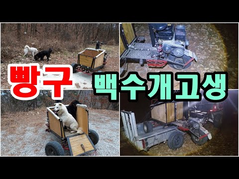 개 산책하다 빵구나서 백수 개고생