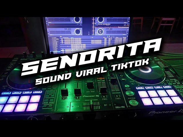 DJ SENORITA X MELODY KANE JEDAG JEDUG TIKTOK VIRAL 2022 class=