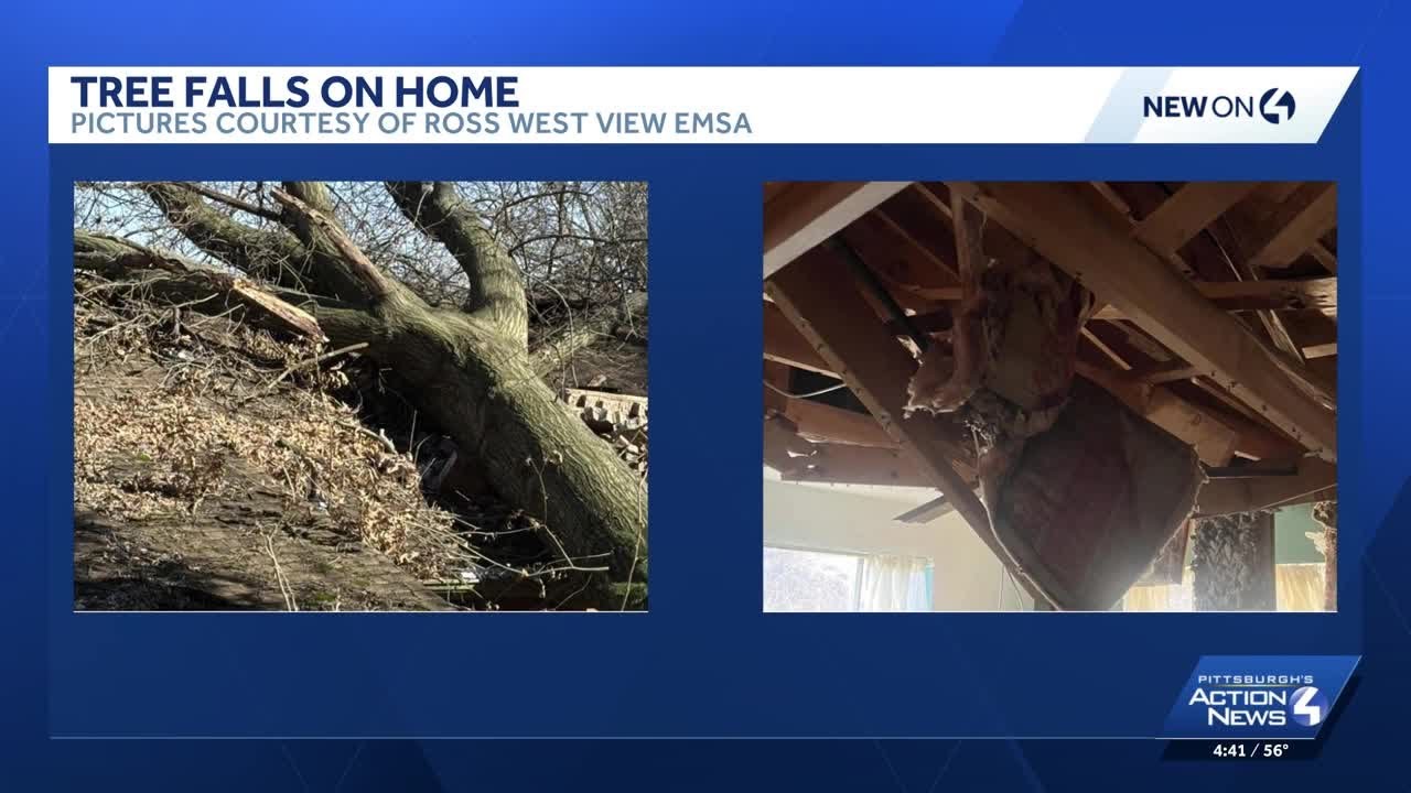 Tree falls on house in West View, Pennsylvania - YouTube