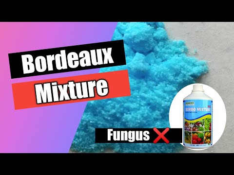 Video: Fungicides For Grapes: A List Of Drugs. 