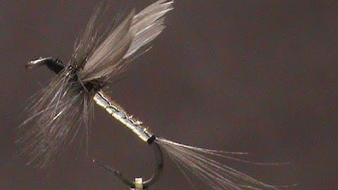 Fly Tying a Classic Dry Fly a Catskill Cats Whisker with Jim Misiura