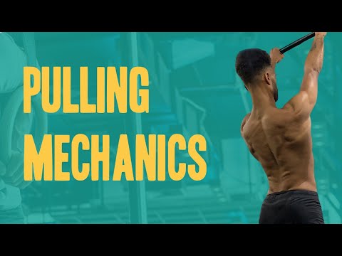 Pulling Exercises & Mechanics | Calisthenics