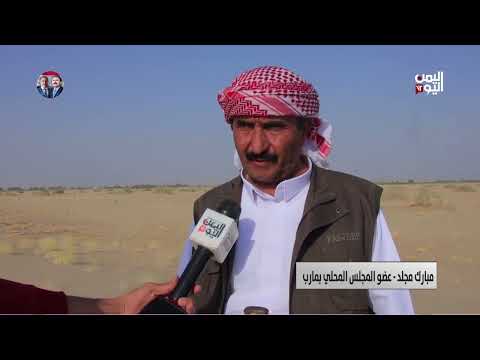 التصحر في اليمن يهدد الأراضي الزراعية - تقرير فؤاد المجيدي