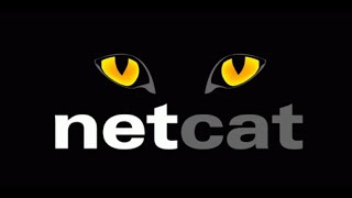 Introduction to Netcat & shell stabilisation