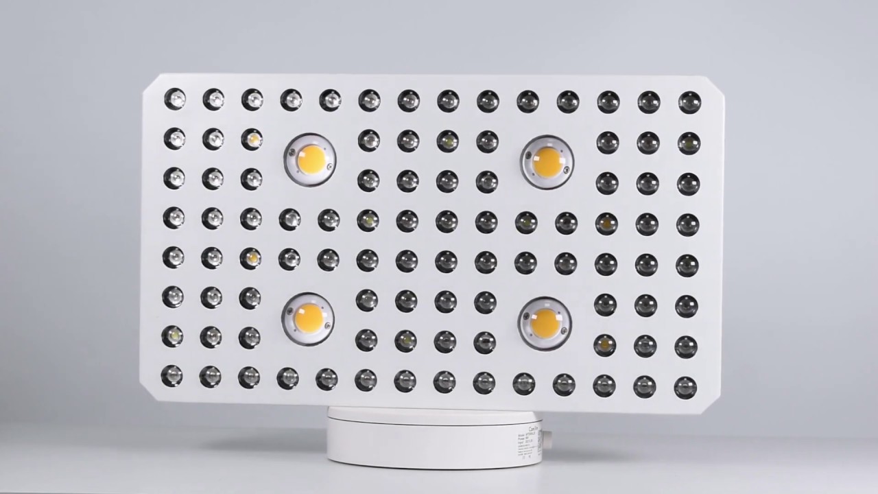 FSGTEK  2000W CREE COB LED Grow Light COB4+LED