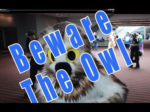 rotten egg smell in house Don't Get Too Close to Owls