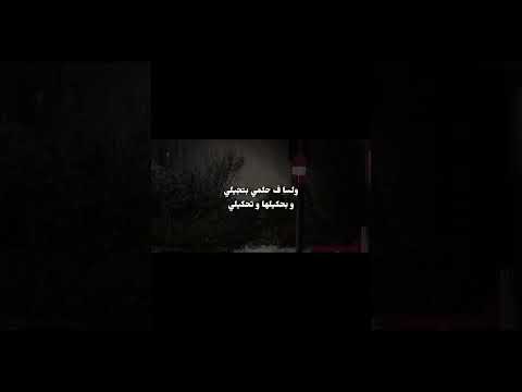 ولسه ف حلمي بتجيلي