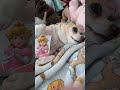 Super Mario: Peach