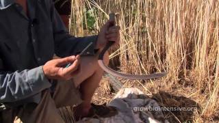 Session 6, Part B: GROW BIOINTENSIVE: A Beginner's Guide --  Harvesting