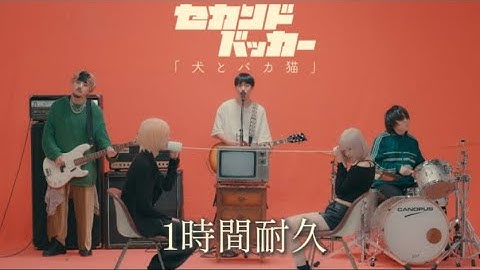 【1時間耐久】犬とバカ猫 - セカンドバッカー
