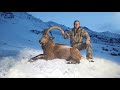 Ibex hunting the majestic himalayan ibex in hussaini gojal hunza  a thrilling adventure