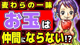 麦わらの一味最後の仲間は お玉 ではない 最新ビブルカードで判明した悪魔の実から考えると ワンピース Youtube 麦わらの一味最後の仲間は お玉 ではない 最新ビブルカードで判明した悪魔の実から考えると ワンピース Youtube