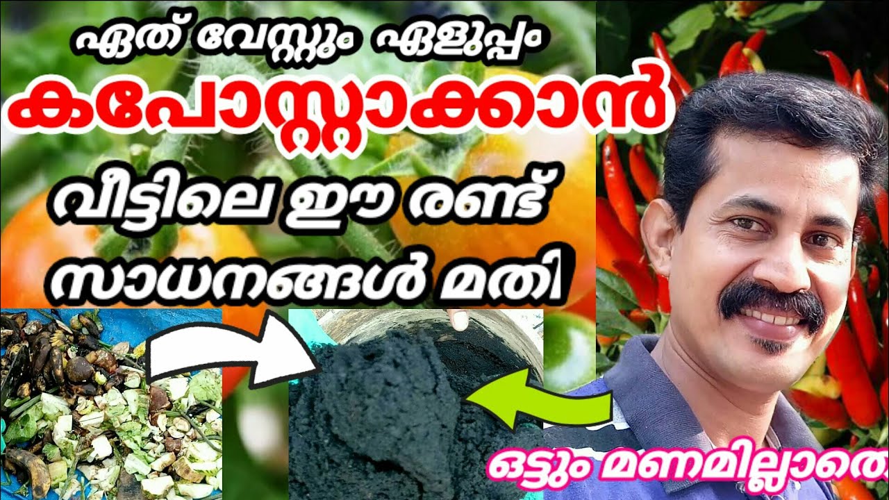 Compost making at home/ഏത് വേസ്റ്റും എളുപ്പം കപോസ്റ്റാക്കാൻ വീട്ടിലുള്ള ഈ രണ്ട് സാധനങ്ങൾ മതി