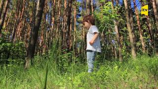 Təbiəti Necə Qoruyaq?