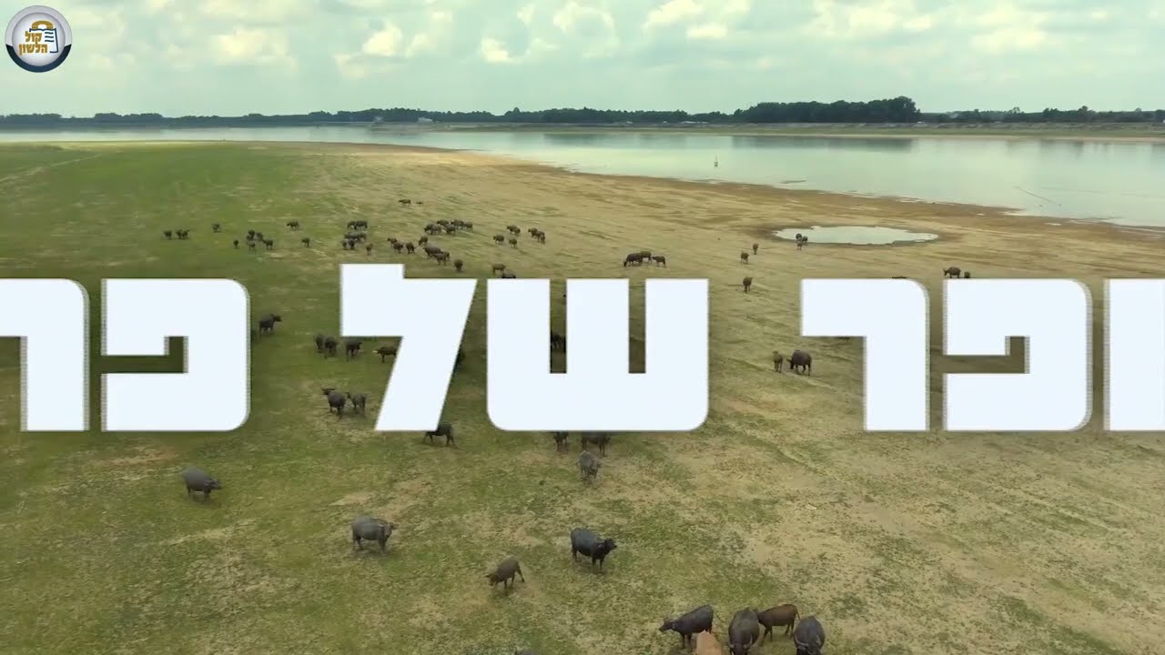 ראש השנה