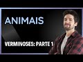 ANIMAIS: PLATELMINTOS - VERMINOSES