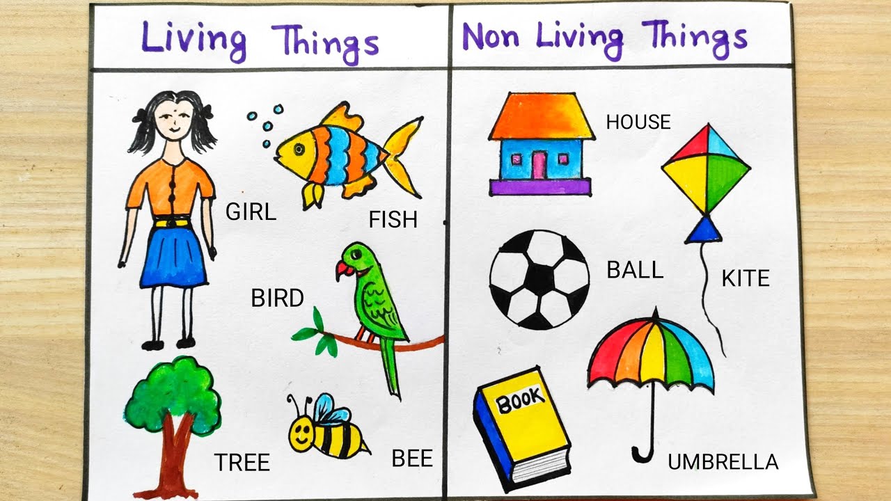 Living Things drawing easy | Non-Living Things for project ...