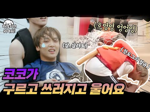 [𝐍𝐂𝐓 해찬] 코코가 구르고 쓰러지고 울어요 ₍o̴̶̷᷄﹏o̴̶̷̥᷅₎ || 하찮은 해찬이 모먼트 #하찮지만귀여워!