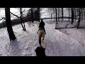 GoPro Helmet cam - Horse riding in winter / Zimní projížďka na koních v lesích Krmelína