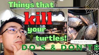 How to Setup a Turtle Tank (Stinkpot Turtles) | AVOID and FIX MISTAKES EARLY!
