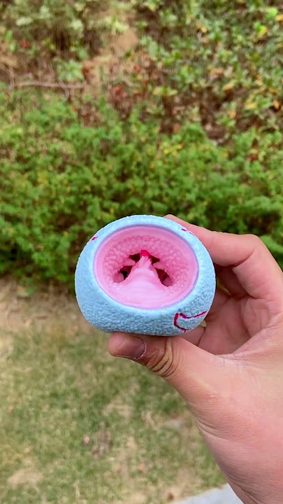 Pinch music toy#kibtoy#toys #toy
