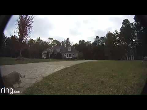 Ring Pro mailbox cam