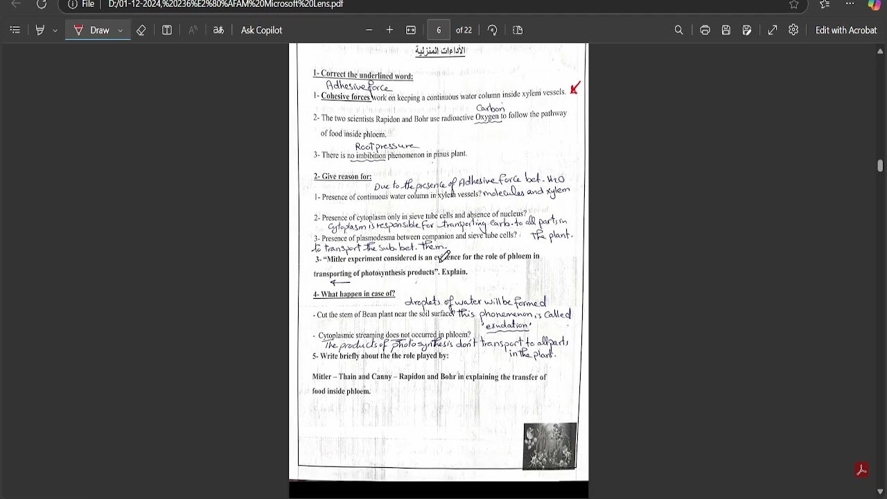 اسئلة التقييمات لChapter 2 - شهر 11 (Senior 2)