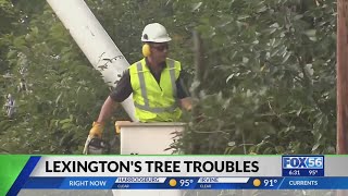 Lexington residents turn to state lawmakers for answer to city's tree troubles