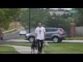 Dog walking / abusive in Aurora, Colorado Dog walking / abusive in Aurora, Colorado