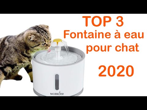 Vidéo: Comment Choisir Une Fontaine à Eau