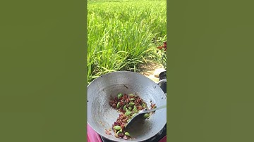 Sambal Teri Pete #sambalteri #sambalpete