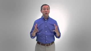 How To Get Rid Of Carpenter Ants - Diy Pest Control