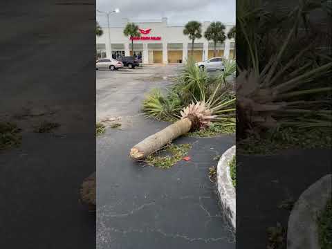 Video: Destin, Florida'daki Hava ve İklim