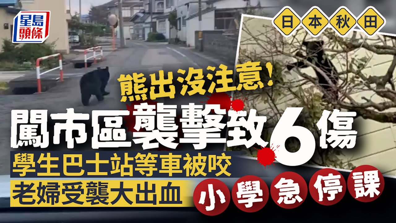 熊出沒! 日本秋田山區1人疑遭熊咬身亡 2警重傷－民視新聞