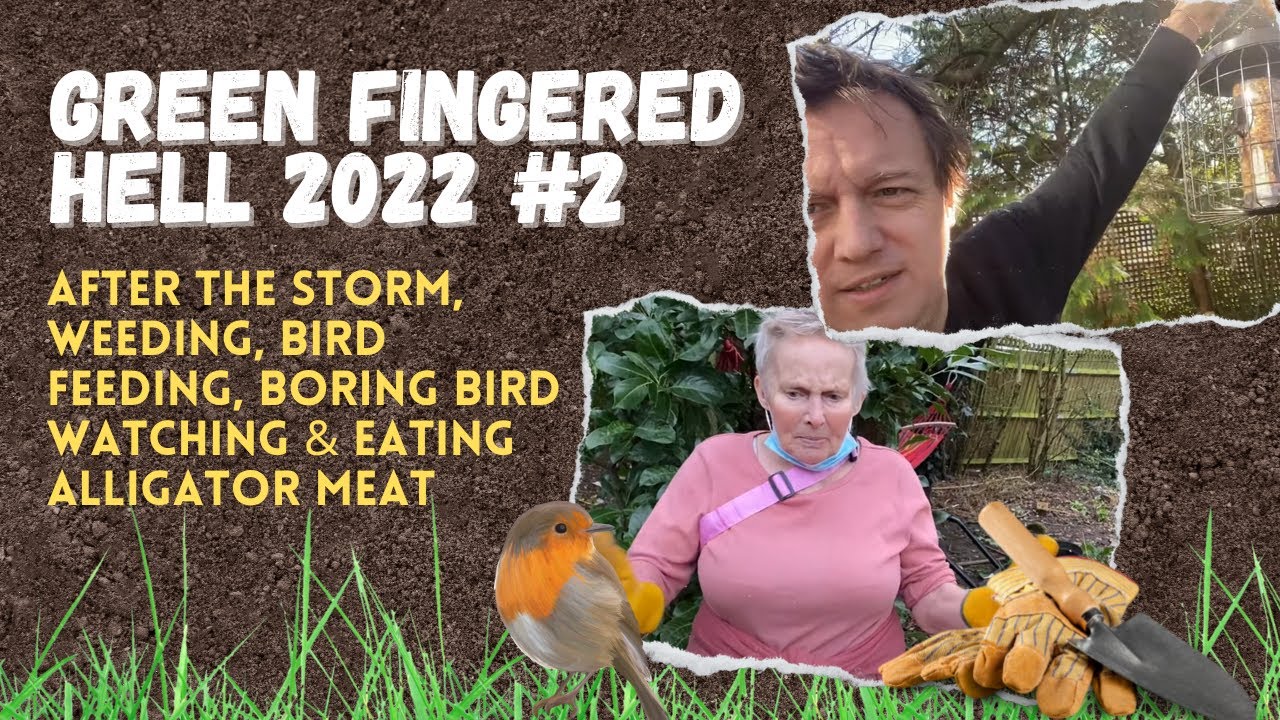 GFH 2022 #2 After the STORM, WEEDING, Bird Feeding, Boring Bird Watching & Eating Alligator Meat