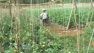 Vấn đề & sự kiện: Phát triển nền nông nghiệp hiện đại, bền vững, gắn với xây dựng nông thôn mới