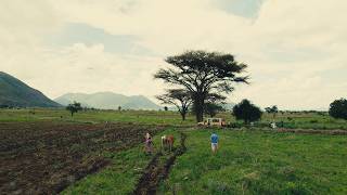 Living And Selling The African Experience